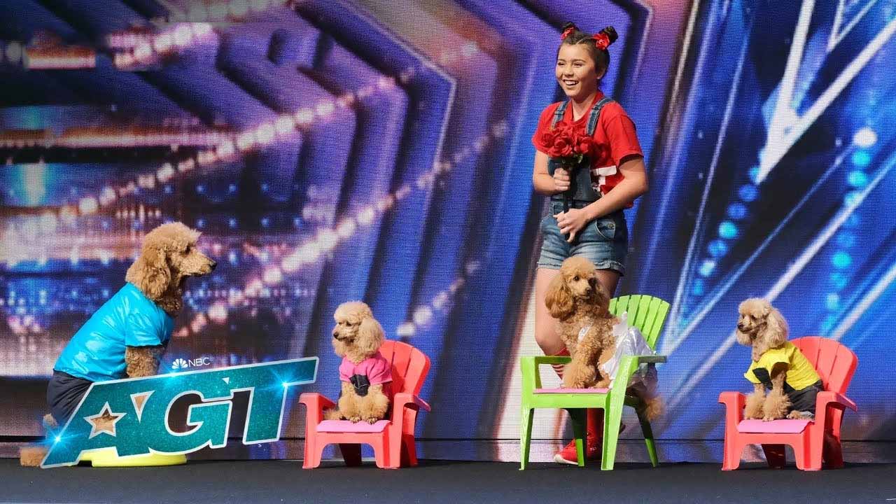 Amazing Veranica And Her Talented Dogs AGT 2022