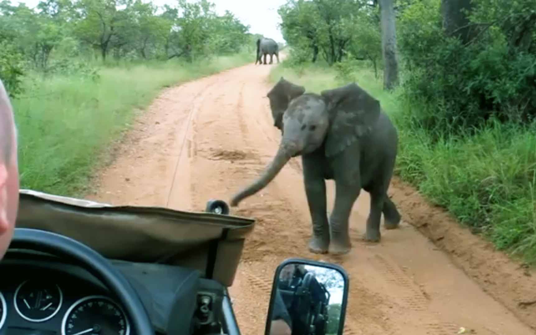 Видео мало