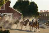 Budweiser Super Bowl 2025: First Delivery – A Clydesdale Tale of Tradition and Heart