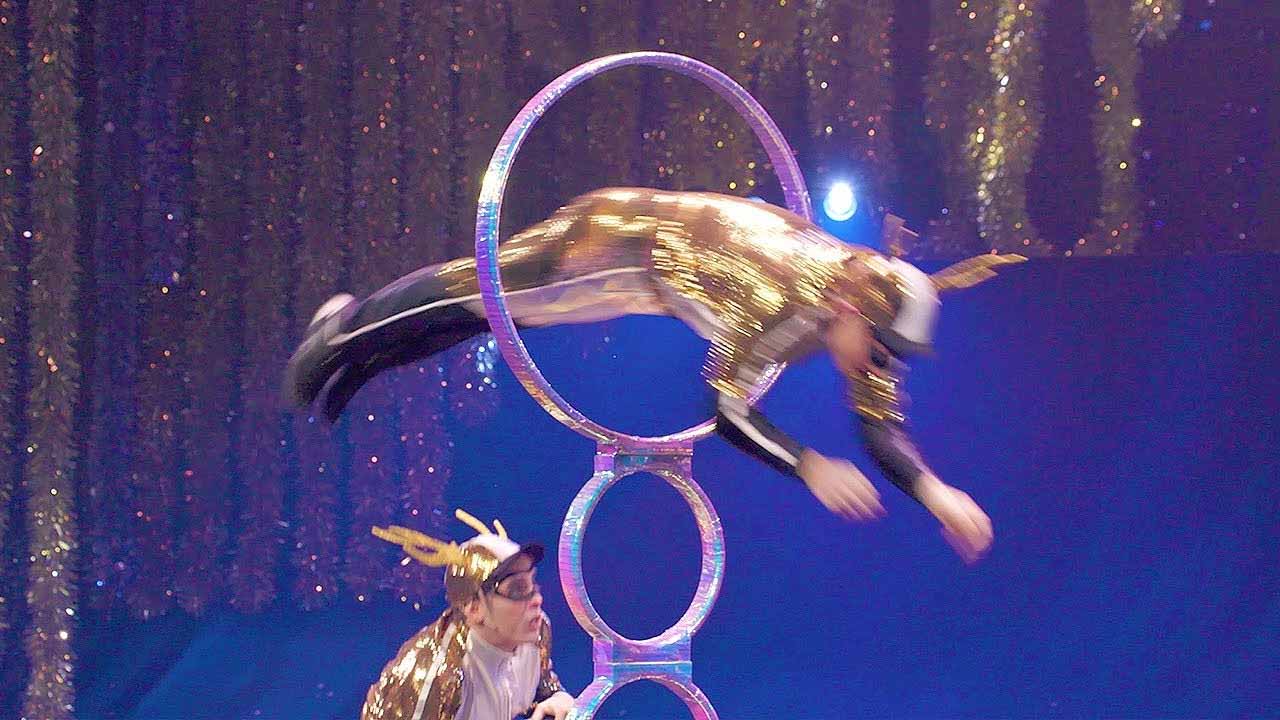 Cirque Du Soleil Acrobatic Reindeer Christmas Show