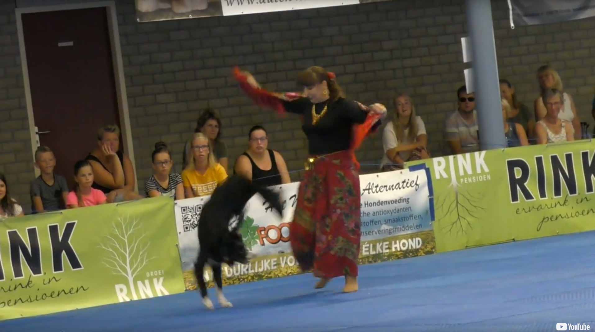 dog dance world championship