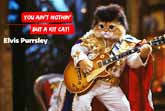 Elvis Purrsley - You Ain't Nothing But A Kit Cat