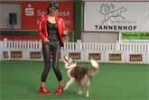 European Championship for Dog Dancing Winner: Lusy and Rysa