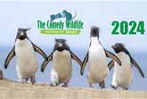 Hilarious Animal Moments You Have to See! 2024 Comedy Wildlife Photo Finalists