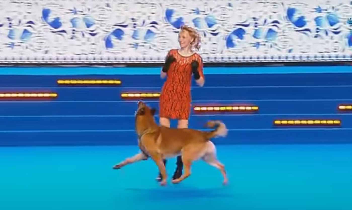 dog dance world championship 2016 winner