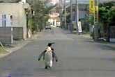 Penguin Goes Shopping