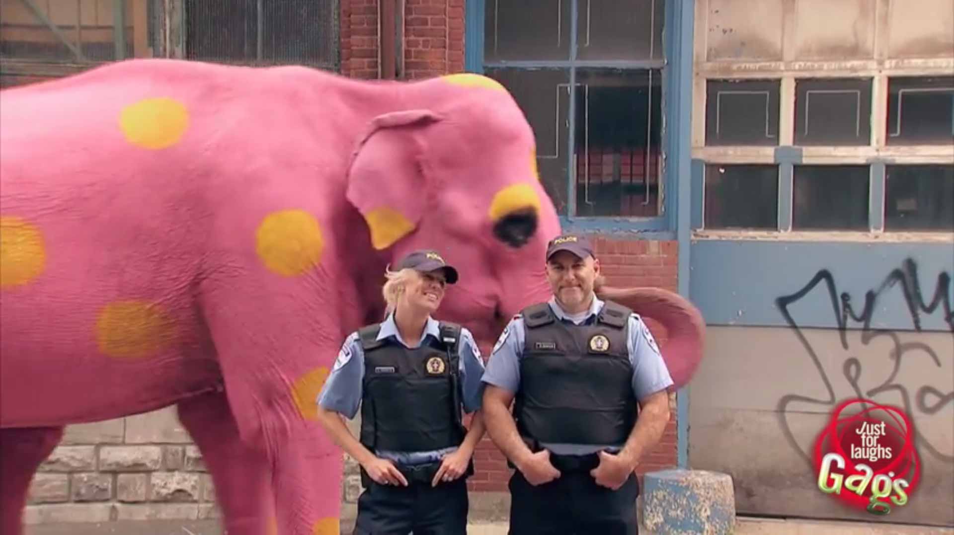 kong pink elephant