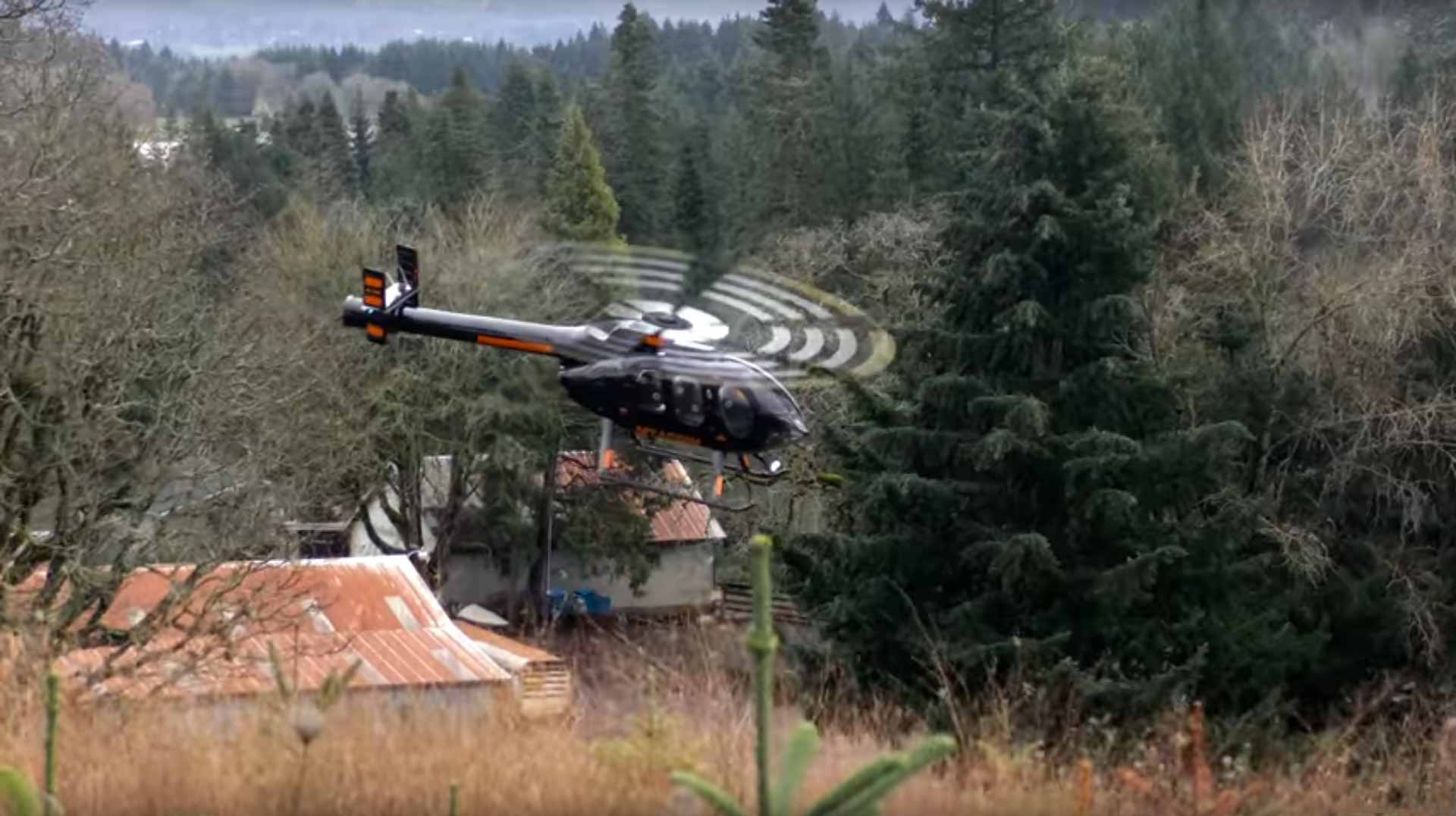 Skilled Helicopter Pilot Hauling Christmas Trees