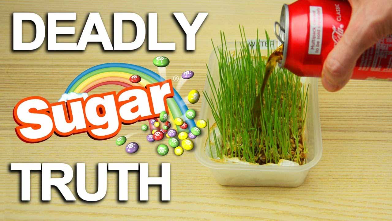 What Sugar Actually Does To Your Body